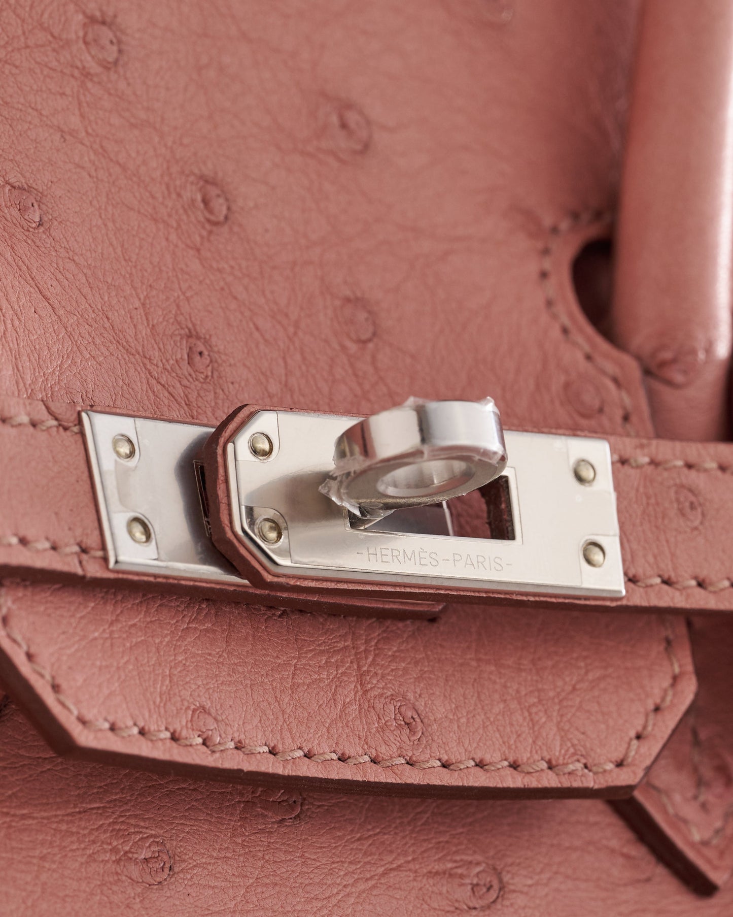 Hermès Birkin 25 Ostrich Terre Cuite Palladium Hardware