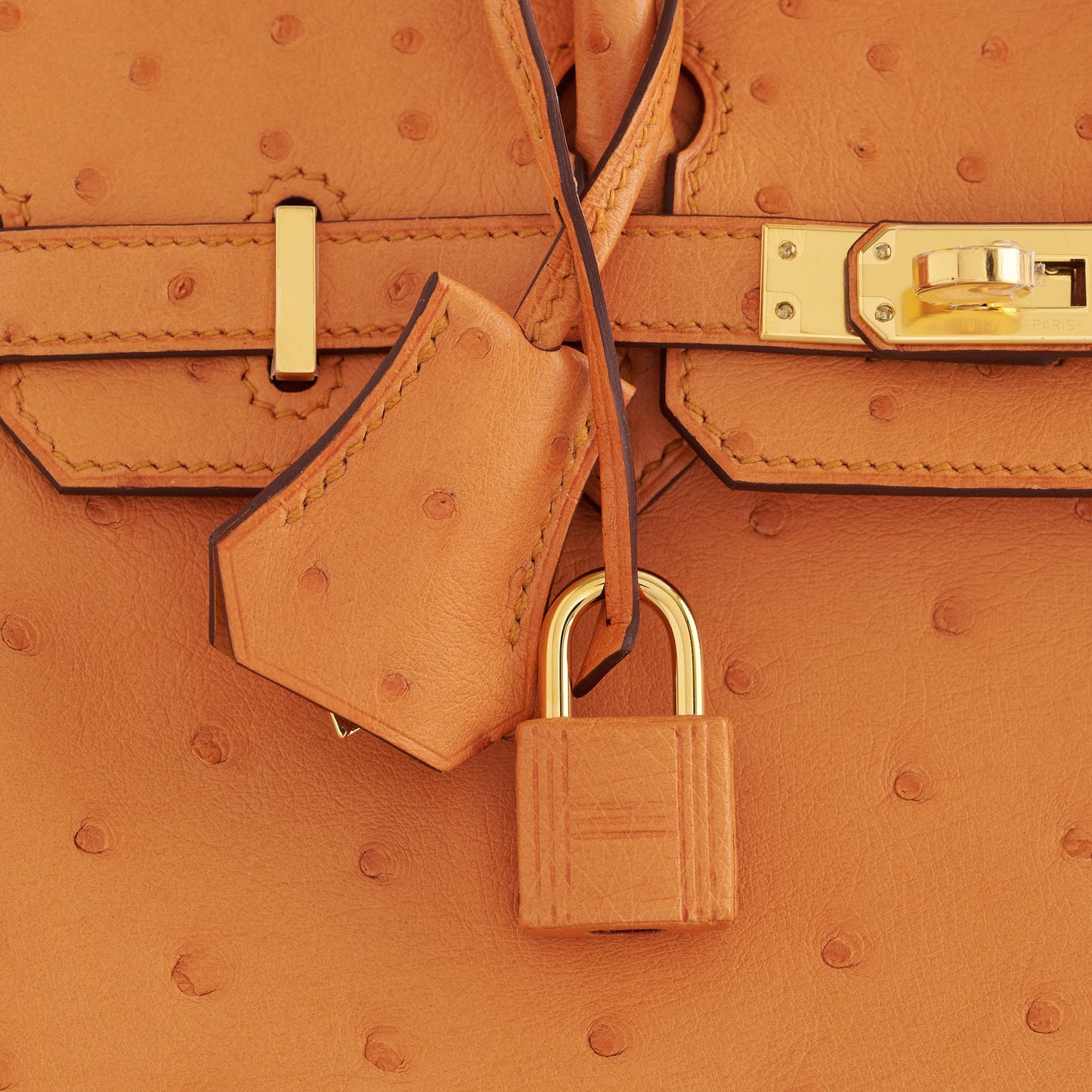 Hermès Birkin 25 Ostrich Apricot Gold Hardware