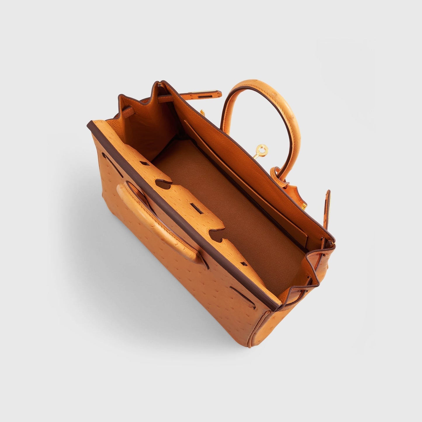 Hermès Birkin 25 Ostrich Apricot Gold Hardware