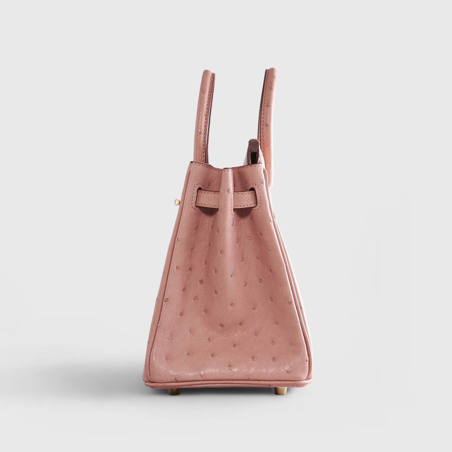 Hermès Birkin 25 Ostrich Terre Cuite Gold Hardware