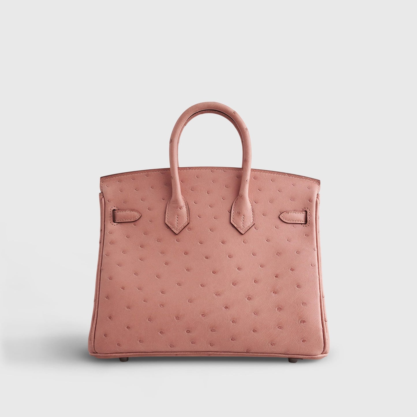 Hermès Birkin 25 Ostrich Terre Cuite Palladium Hardware