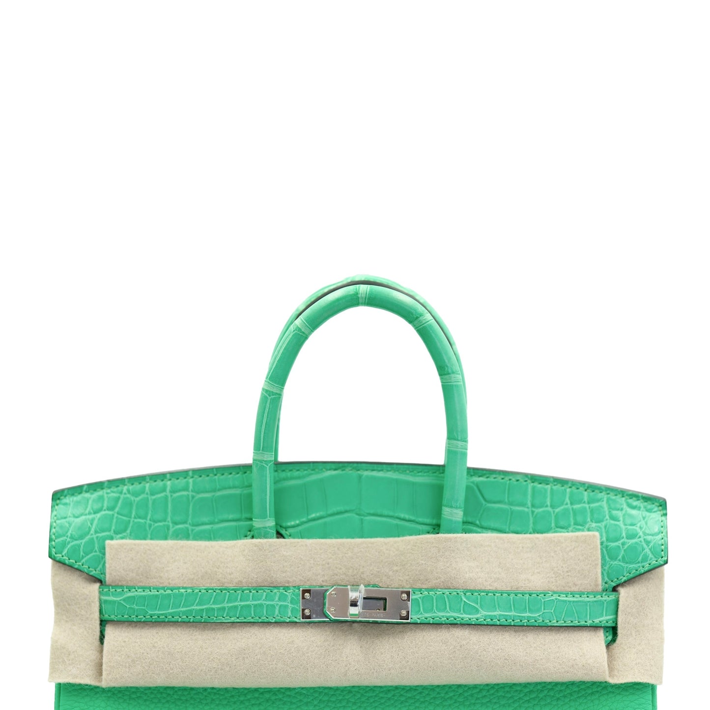 Hermes Birkin 25 Vert Comics Togo and Matte Alligator Touch with Palladium Hardware