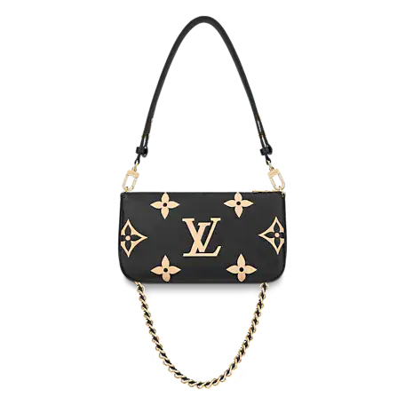 Louis Vuitton Multi Pochette Accessories